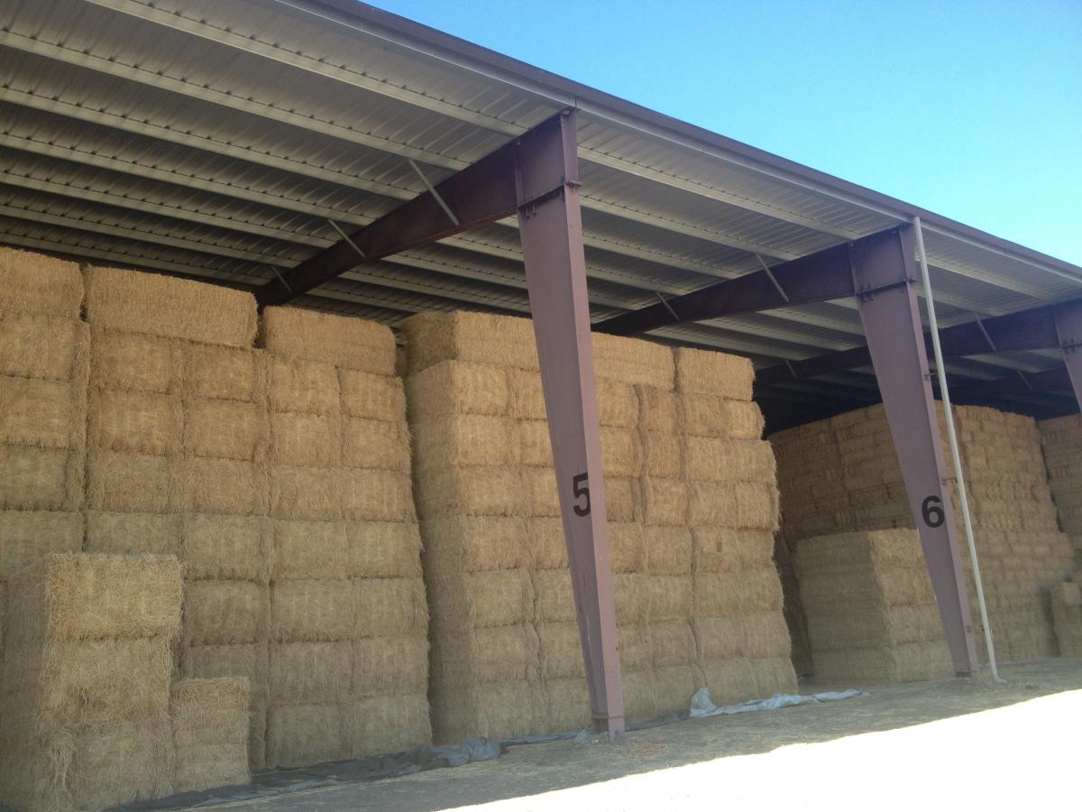 barn hay